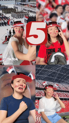 NDP Fun Hat