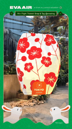 EVA Air Mid-Autumn Campaign